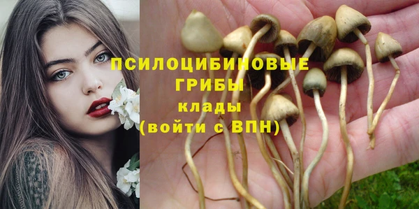гидропоника Балахна