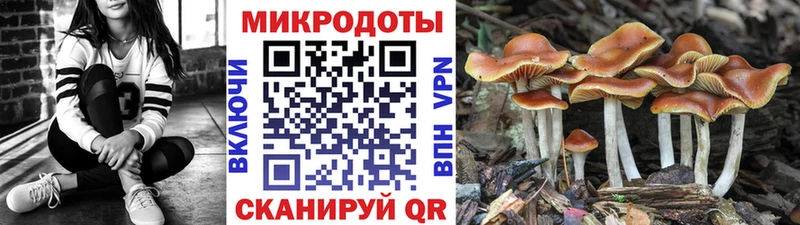 где купить наркотик  OMG как зайти  мориарти состав  Павлово  Галлюциногенные грибы ЛСД 