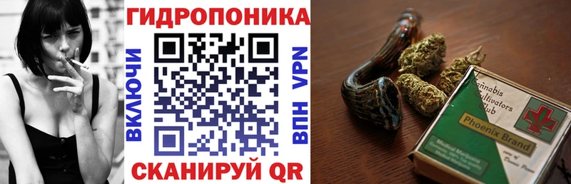 Шишки марихуана OG Kush  цены   Павлово 